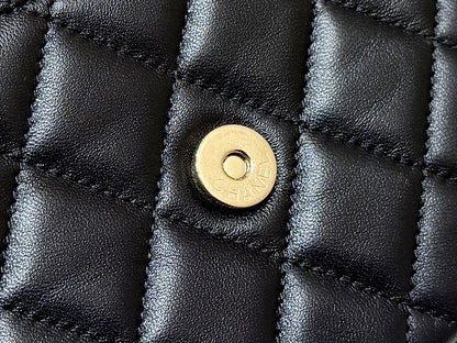 LUXR51